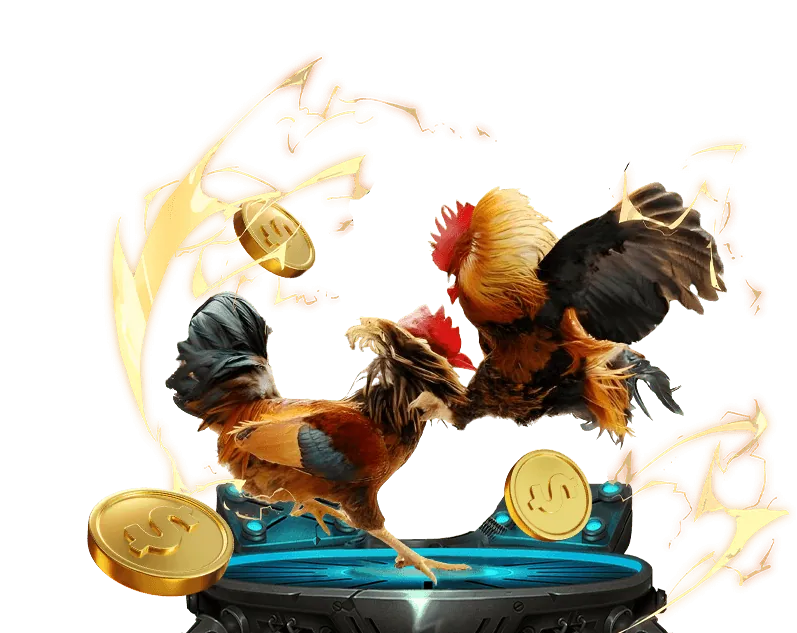 Cá cược bóng đá tại c888